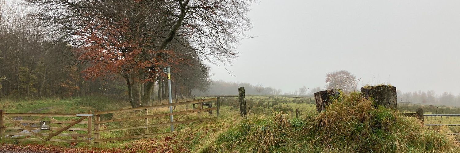 Pete Forrest 🏴󠁧󠁢󠁳󠁣󠁴󠁿 banner