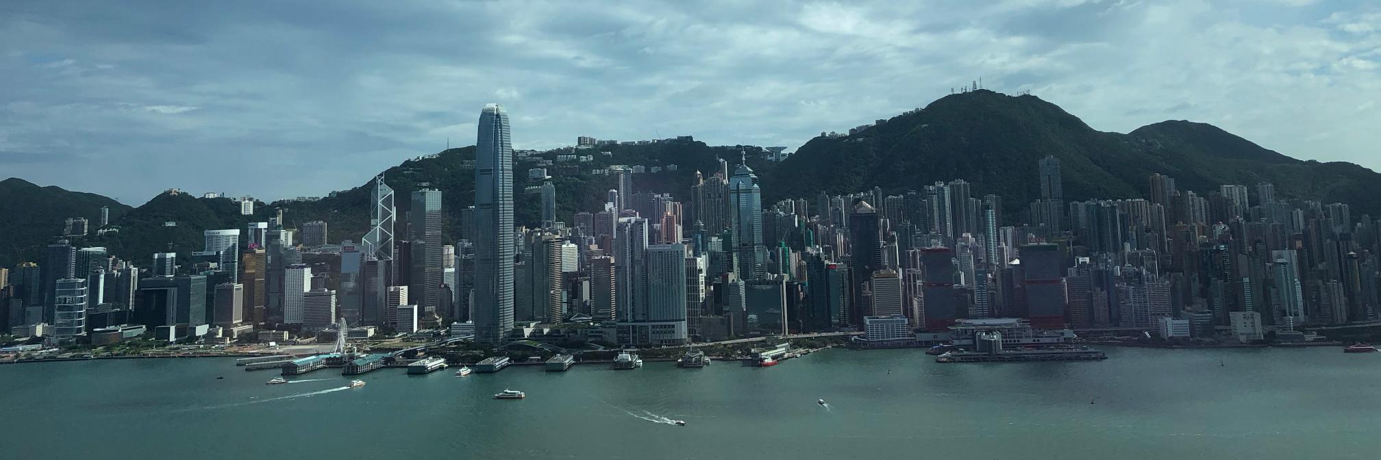 Julia Fioretti banner