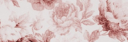 𝓨. banner