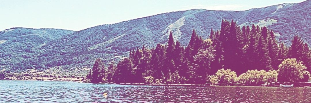rochidt's profile banner image