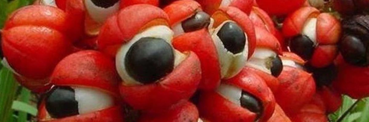 Ven & Etch writers Palace banner