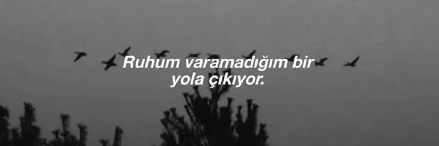 birmuammadir's profile banner image