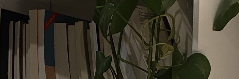 01001100 banner