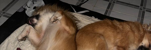 9ruxtha_ Profile Banner