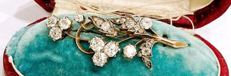 Chiara Edmunds banner