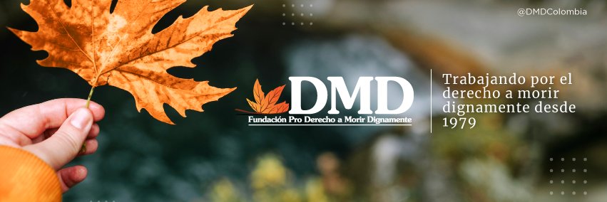 Fundación D.M.D banner