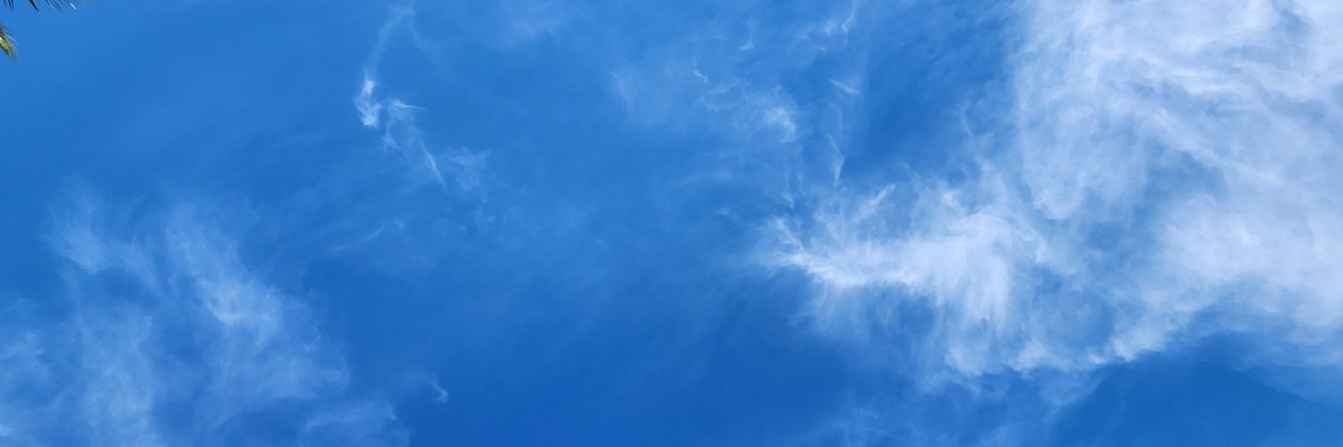 BigSunshine banner