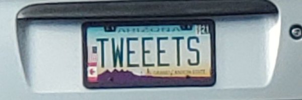 ZHBuchanan Profile Banner