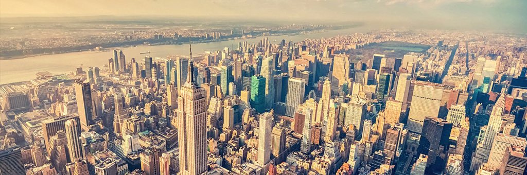 Brandon Stefanowitz banner