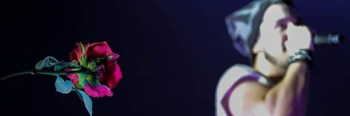 MeuGrandeAmorLR's profile banner image