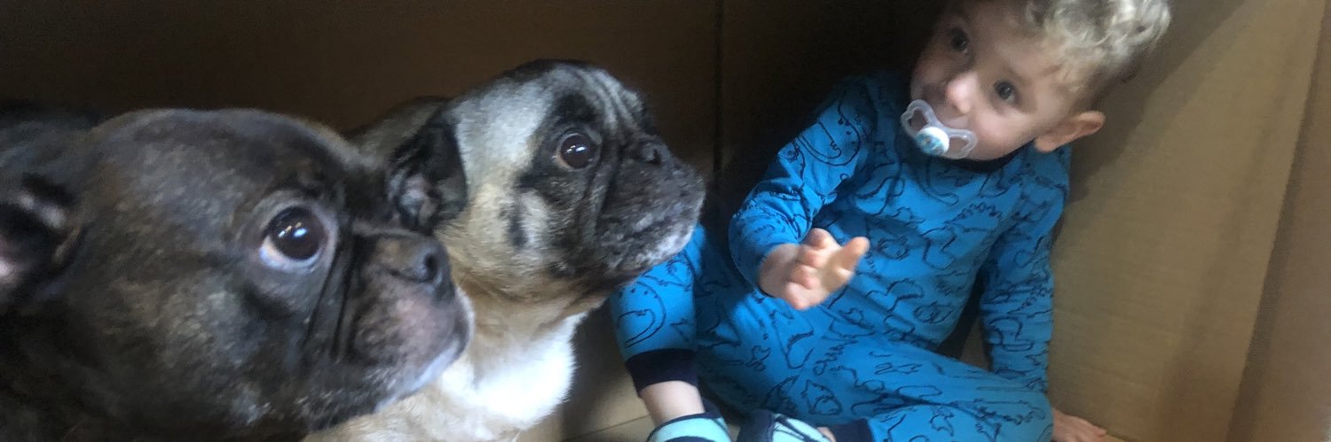 VegasThePug's profile banner image