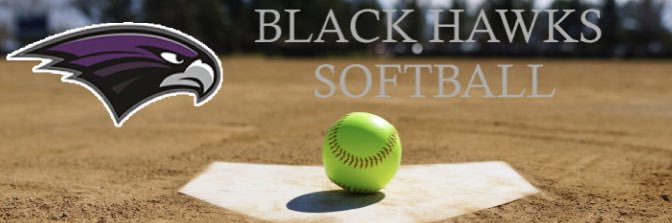 Bloomfield Hills Softball banner