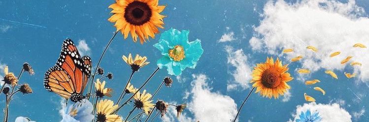 caseey_austen's profile banner image