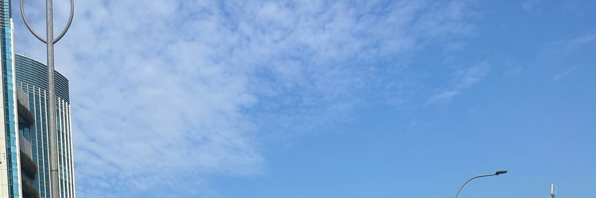 ann banner