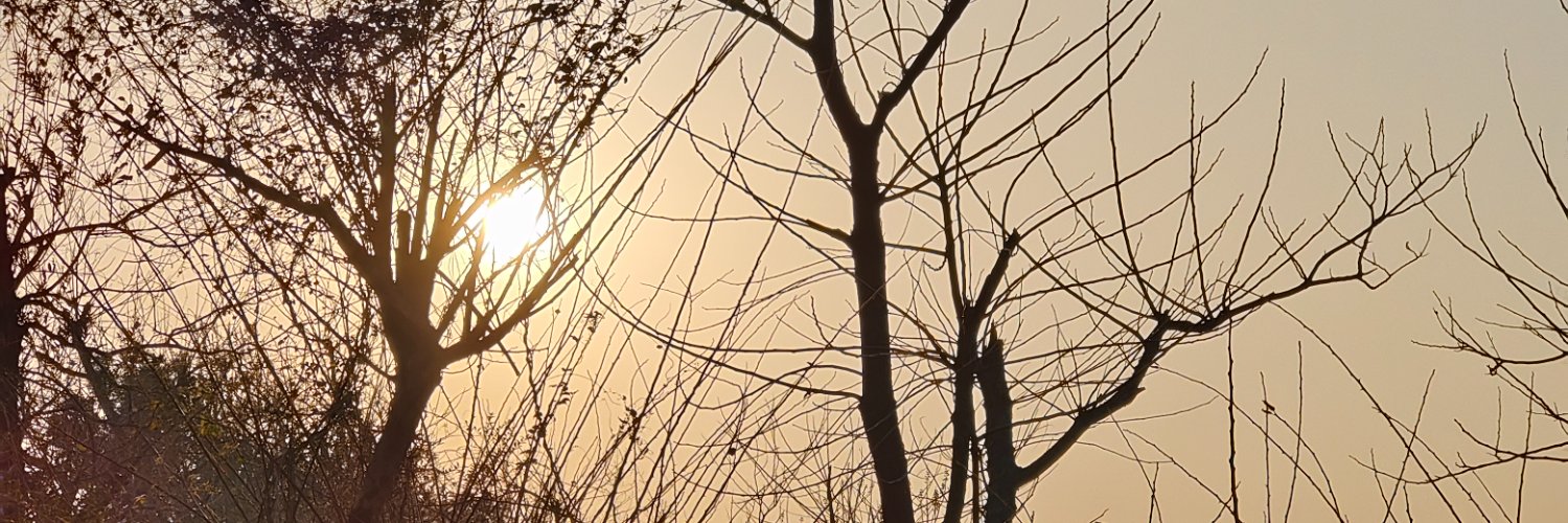 zwh355242549's profile banner image