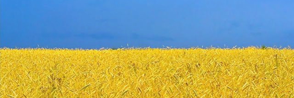 rogerabramson's profile banner image