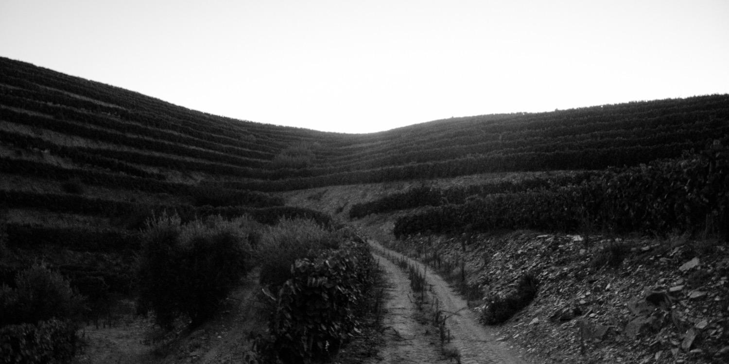 bmdcastro's profile banner image