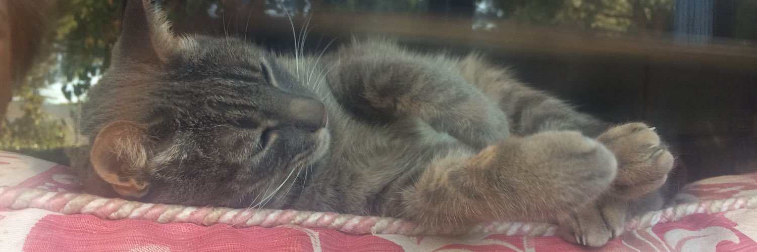 Murquin Grapher banner