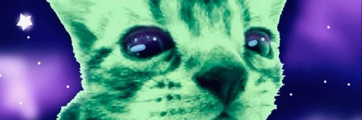 Xyli's banner