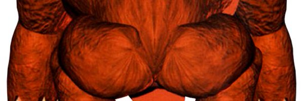 KongDread4642 Profile Banner