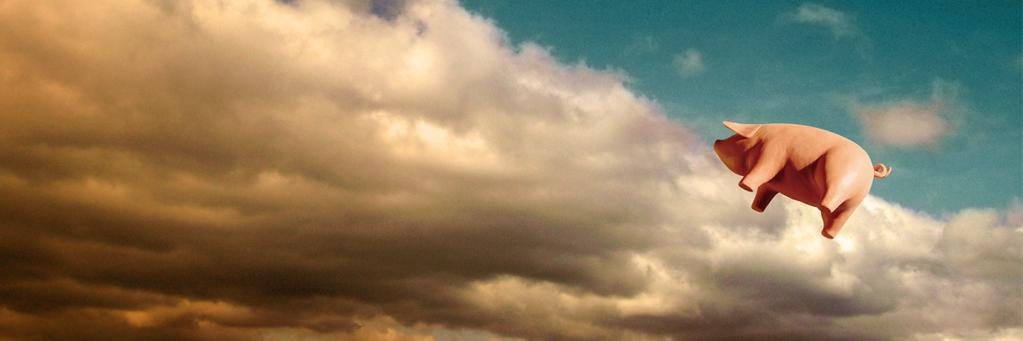 _NicoLongo's profile banner image