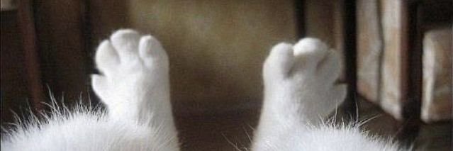 GRk12220's profile banner image
