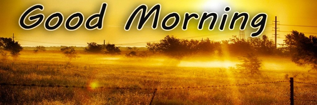 Thinker banner