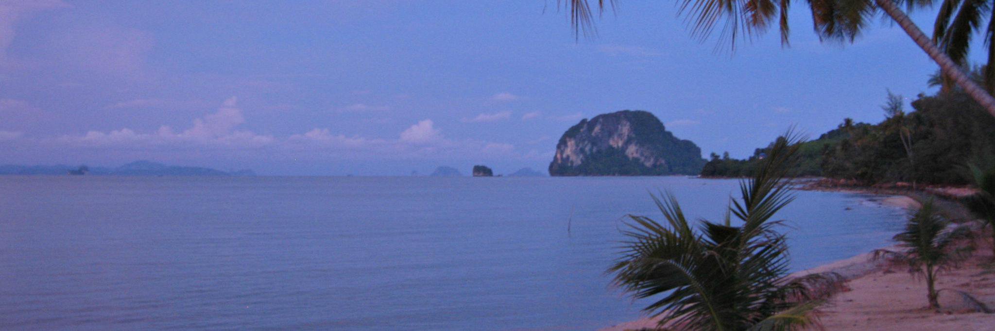 Dr Rose Harris-Birtill banner