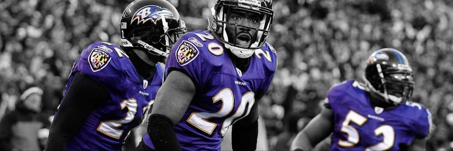 FlockFan1312's profile banner image