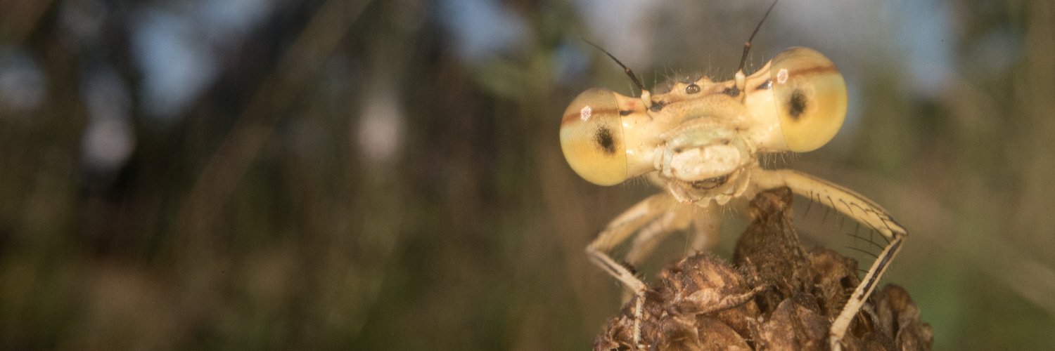 ticdesprofs's profile banner image