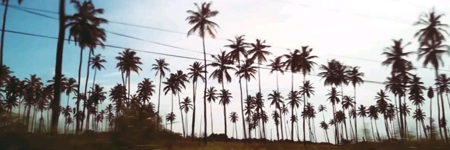 Andredqm's profile banner image