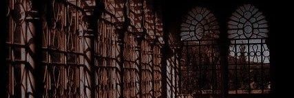 Zk❄️🤎 💗🍒 🪷👛🥑🌺🦝🐇 🍫🐧🎐💥 🪼 banner