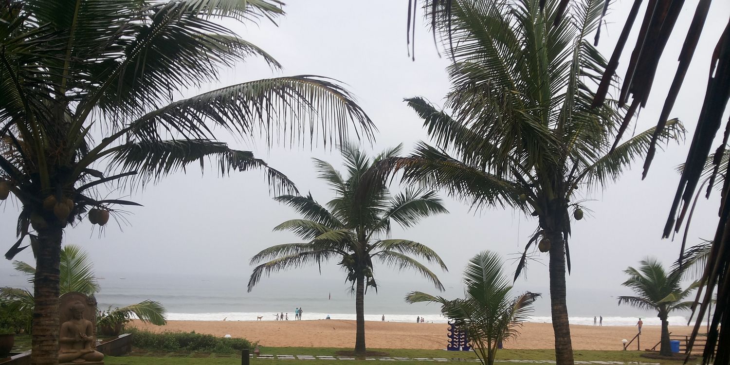 Rosh 🇮🇳 banner