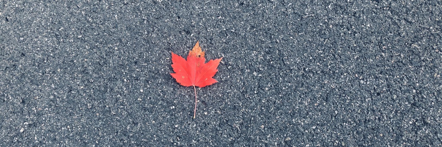 Jen MacKinnon banner