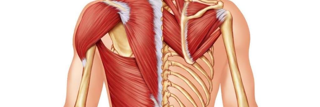 MedMassageCan's profile banner image