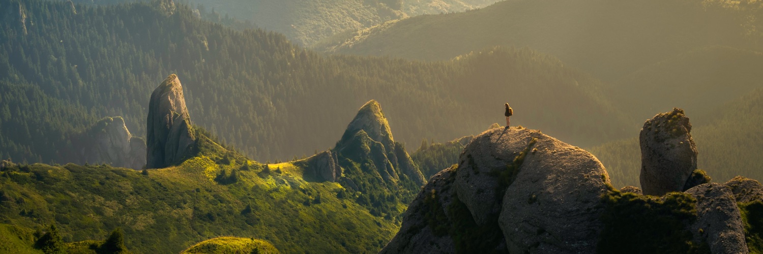 Sezgin 🧘 banner