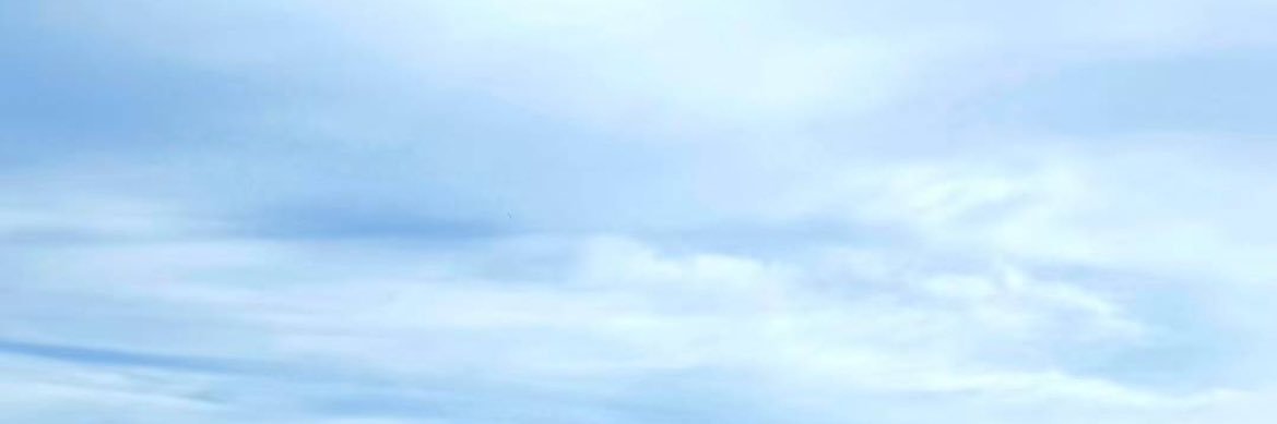 LaxValine's profile banner image