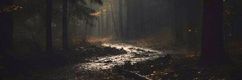 TheeeOutLawww's profile banner image