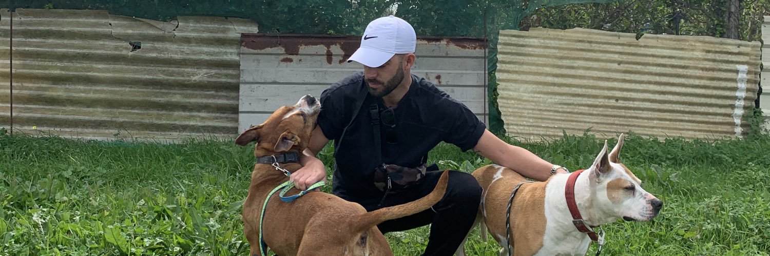 bareaIV's profile banner image