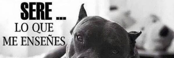 El_M3stre's profile banner image