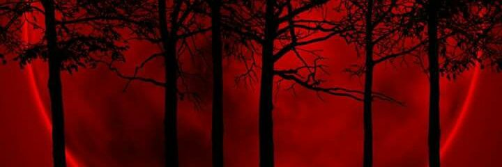 andy456LJ's profile banner image