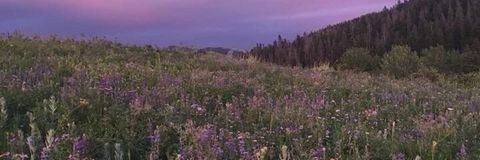 summerdm12's profile banner image
