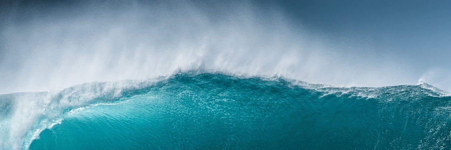 inbtcwetrust's profile banner image