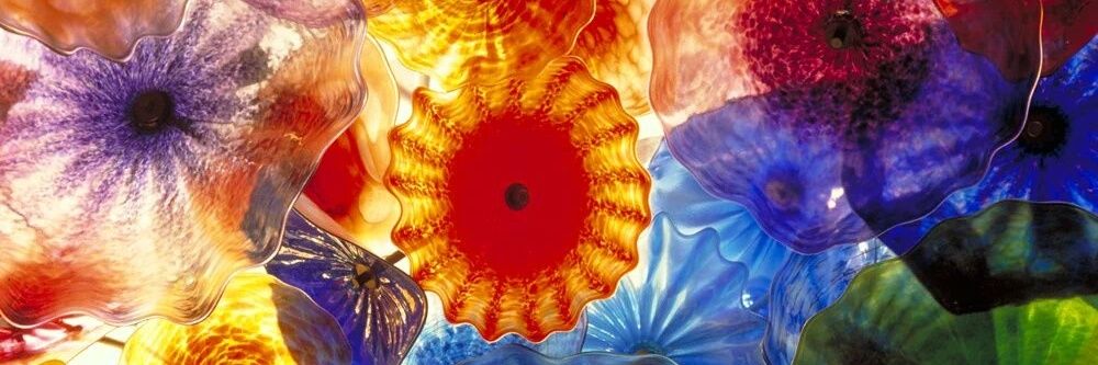 chosen_paths's profile banner image