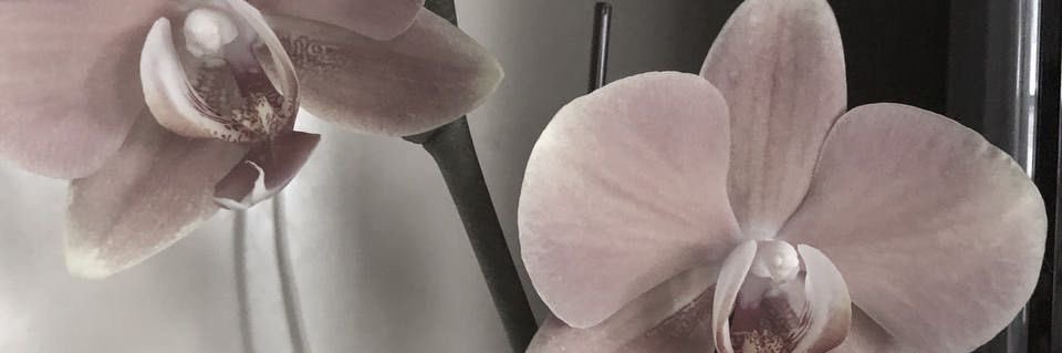 moinIight's profile banner image