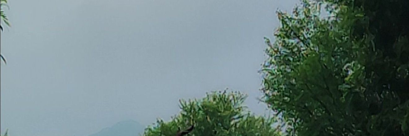 sarthk banner
