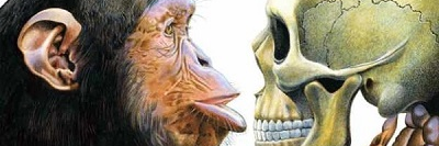 p_regulo's profile banner image