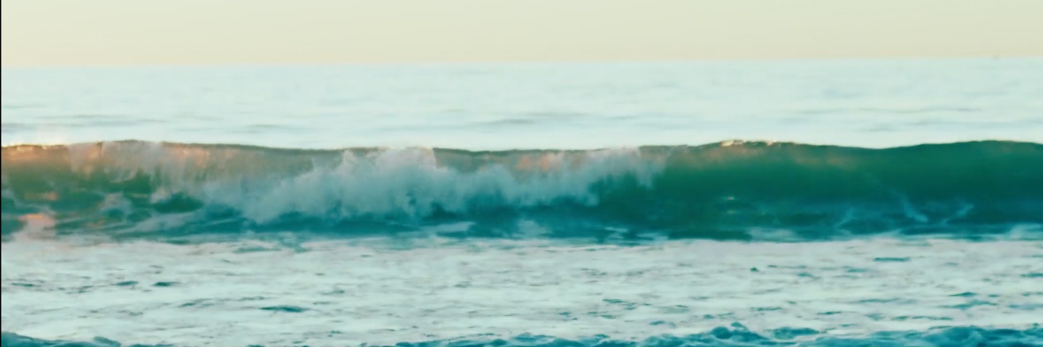 alex banner