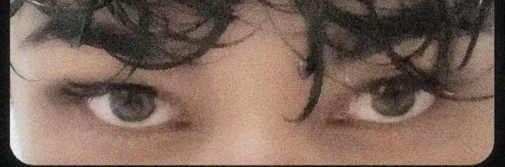 Raffa banner