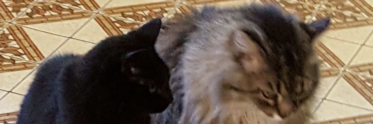 CGLuttrell's profile banner image